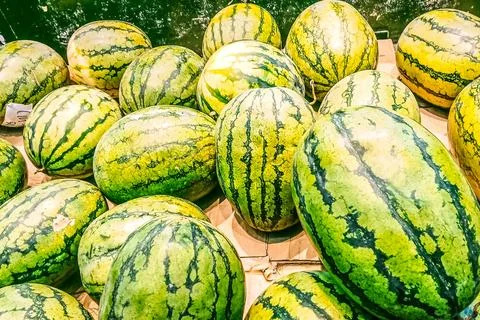 Many watermelons Stock Photos