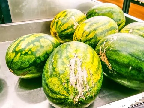 Many watermelons Stock Photos