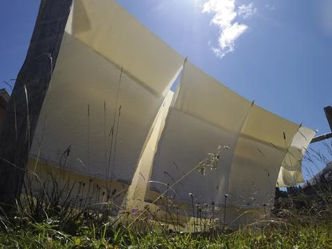 Many white bed sheets drying to the sun in mountain Stock Photos