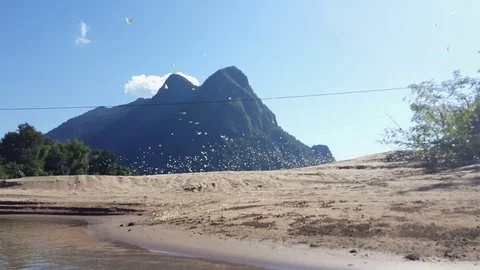 Many white butterflies flutter and fly at beach shore, mountains in background 스톡 동영상 81603532