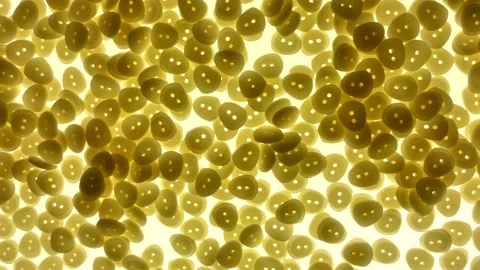 Many white buttons for clothes on a white background. Video stock 139970025