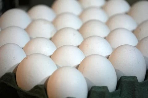 Many white eggs blister close up Stockfoto's