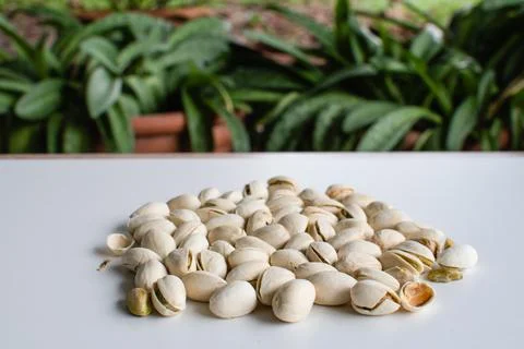 Many white nuts on a white table take a closeup and slope view the photo is.. Stock Photos