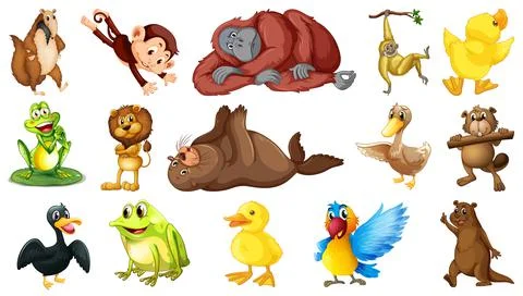 Many wild animals on white background イラスト素材