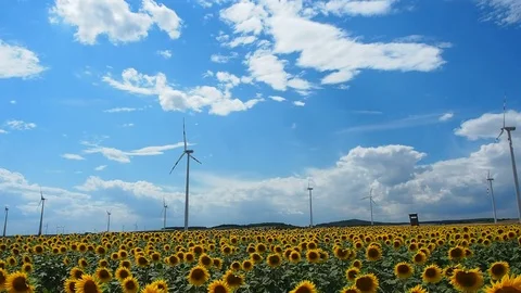 Many windmills rotating during windy summer cloudy day  Stock Footage 77551469