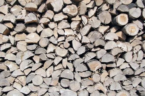 Many woods Stock Photos