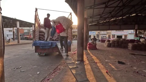 Many workers are loading onion sacks in the truck in market yard  Stock Footage 305987080