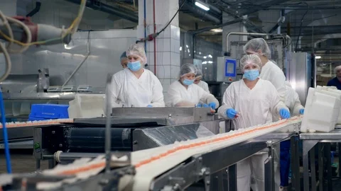 Many workers pack food from a moving line at a food plant. Stock-Footage 111997281