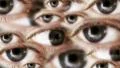 ManyEyes HD Footage