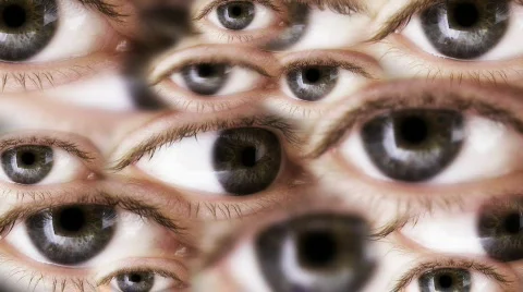 ManyEyes Vidéo 845769