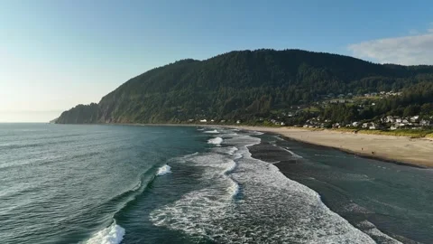Manzanita Beach Aerial View Pullback Beachgoers and Dogs Play on Beach Oregon Vídeos de archivo 332063554