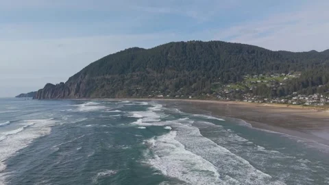 Manzanita Overhead Pan Stock Footage 307236904