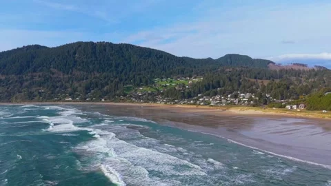 Manzanita Overhead Pan Stock Footage 341774080