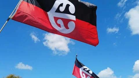 Maori Flag waving in the wind in slow motion Stock-Footage 111417680
