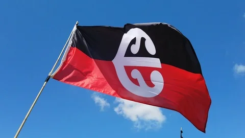Maori Flag waving in the wind in slow motion Stock-Footage 111418078