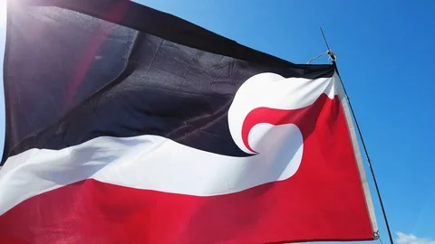 Maori Flag waving in the wind in slow motion Stock-Footage 111418082
