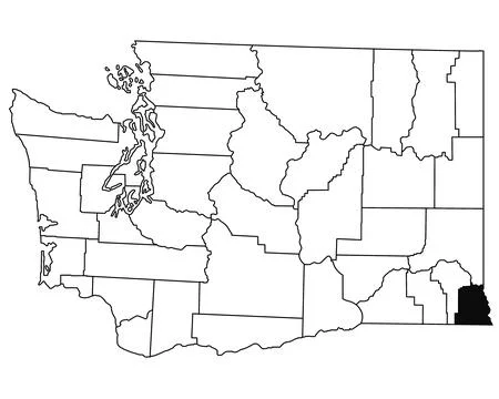 Map of asotin County in Washington DC state on white background. single Cou.. Stock Illustration