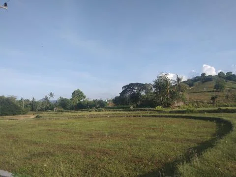 Map beautiful rice fields Stock Photos