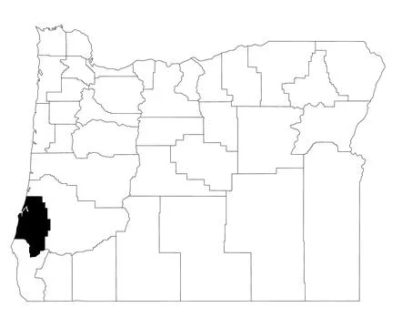 Map of Coos County in Oregon state on white background. single County map h.. Stock Illustration