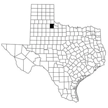 Map of cottle County in Texas state on white background. single County map .. Stock Illustration