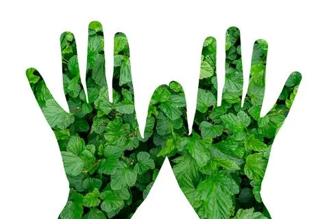 The map of the earth on his hands Stock Photos