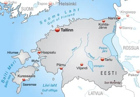 Map of estonia as an overview map in gray Ilustración de archivo