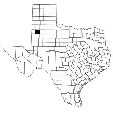 Map of hockley County in Texas state on white background. single County map.. Stock Illustration