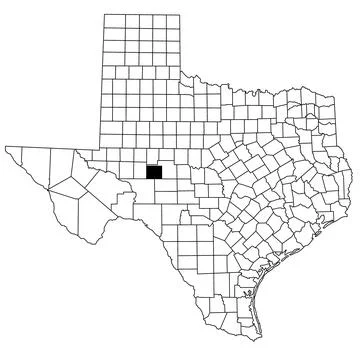 Map of irion County in Texas state on white background. single County map h.. Stock Illustration