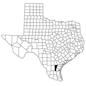 Map of Jim wells County in Texas state on white background. single County m.. Stock Illustration