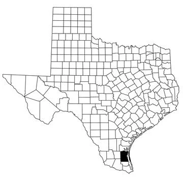 Map of kenedy County in Texas state on white background. single County map .. Illustrazione stock
