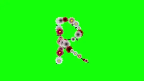 Map Motion with Country - Chroma Key Green Screen Footage Stock Footage 337996422