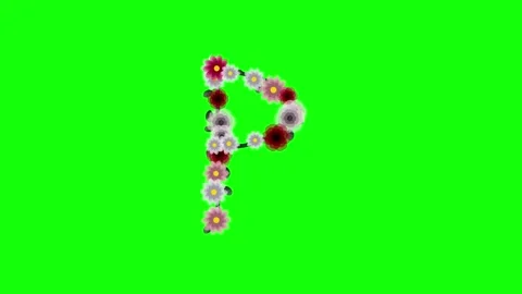 Map Motion with New Isolated Green Screen Stock Video Stock Footage 337996403