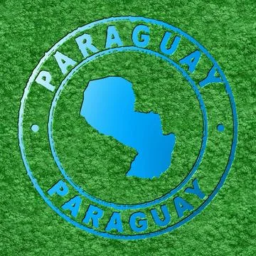 Map of Paraguay, Forest with Water Map イラスト素材