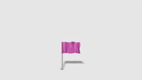 Map Pointers Animation 1 Pink Map Flag Stock Footage 138206659