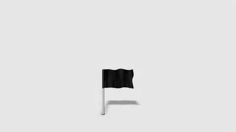 Map Pointers Animation 2 Black Map Flag Loop Stock Footage 138214305
