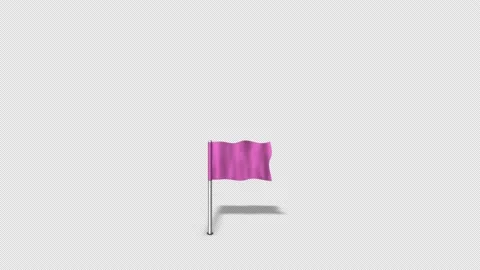 Map Pointers Animation 2 Pink Map Flag Loop Stock Footage 138214710