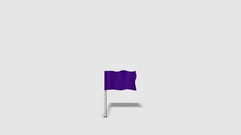 Map Pointers Animation 2 Purple Map Flag Loop Stock Footage 138214771