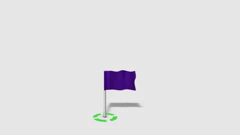 Map Pointers Animation 3 Green Target Purple Map Flag Stock Footage 138216673