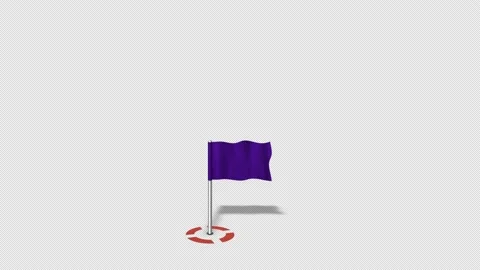 Map Pointers Animation 4 Red Target Purple Map Flag Stock Footage 138217852