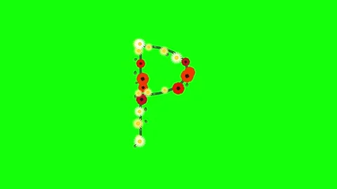Map Professional - Chroma Key Green Screen Footage Video stock 337996407