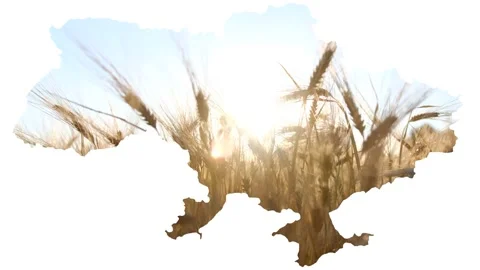 Map Ukraine concept of peace, war, hunger, global food crisis caused by Russia Stock Footage 213875272