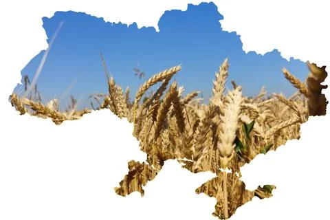 Map of Ukraine in the form of a field Stock Illustration