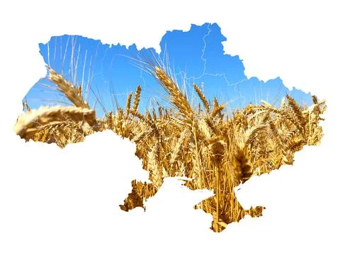 Map of Ukraine in the form of a field Stock Illustration