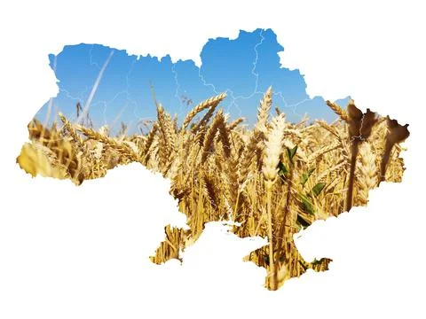 Map of Ukraine in the form of a field Stock Illustration