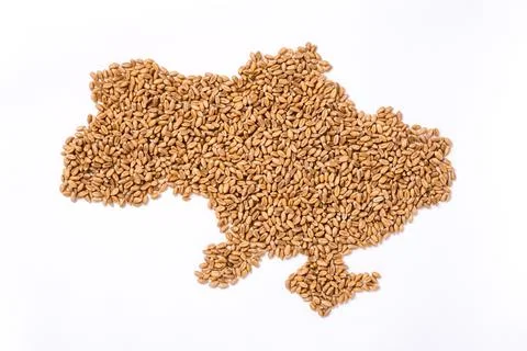 Map of Ukraine made of wheat kernels as main grain export country in Europe Foto stock