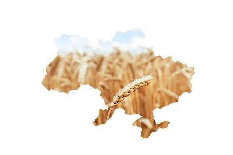 Map of Ukraine Foto stock