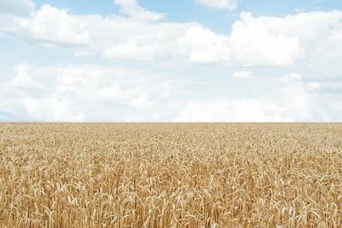 Map of Ukraine Stock Photos