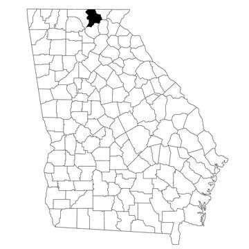 Map of union County in Georgia state on white background. single County map.. Stock Illustration