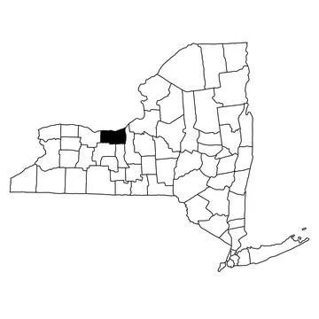 Map of Wayne County in New York state on white background. single County ma.. Illustrazione stock