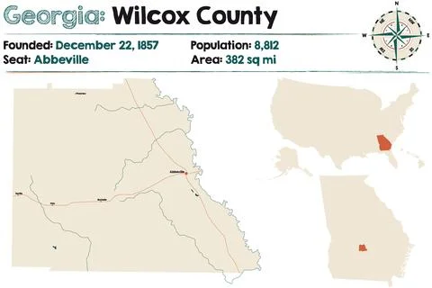 Map of Wilcox County in Georgia Stock Illustration